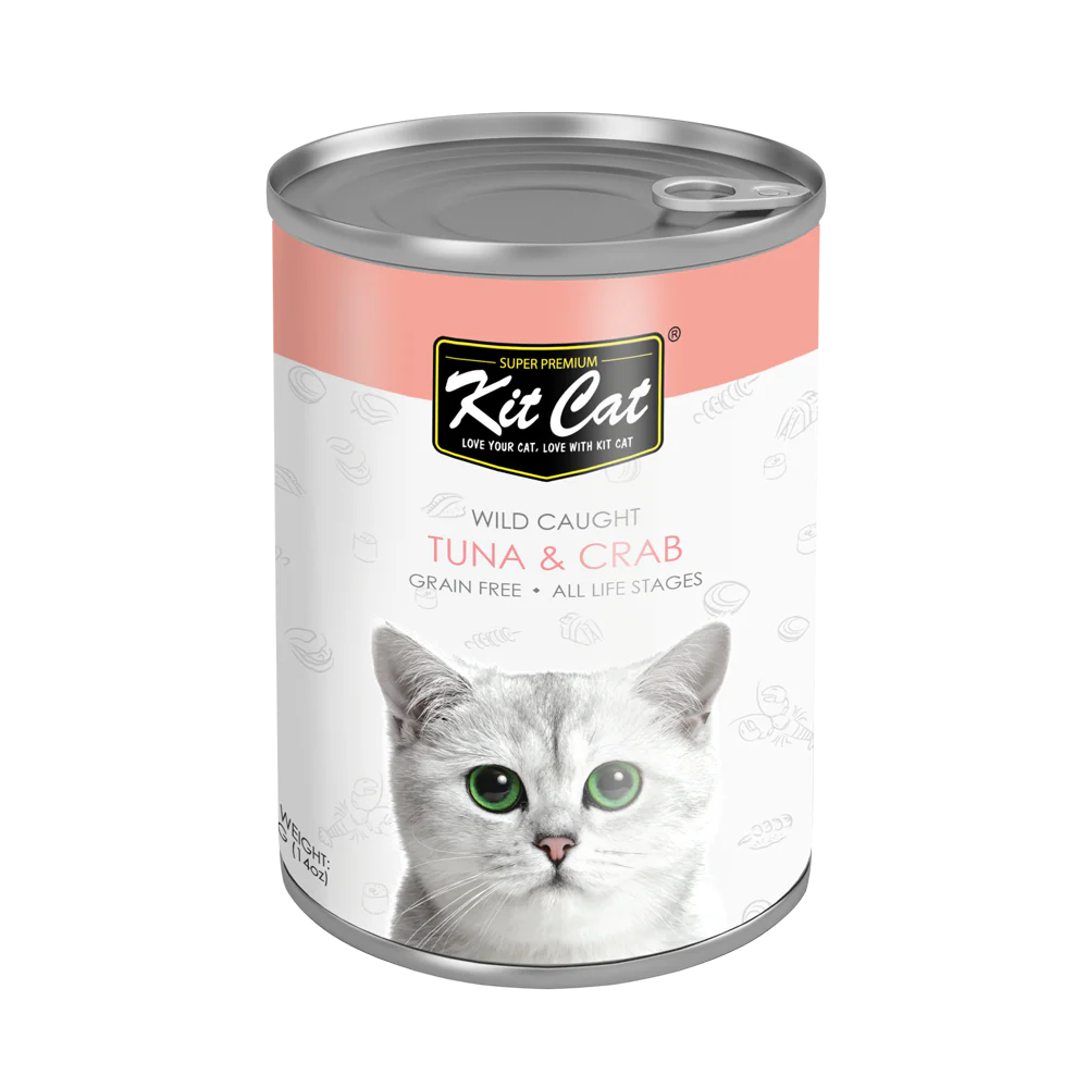 Kit Cat